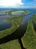 Wetlands