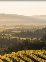 Napa Valley