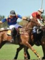 Argentina Polo