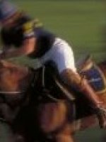 Argentina Polo