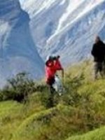 Chile Walking