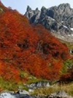 Chile Patagonia