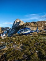 Helicopter