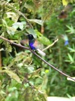 Ecuador