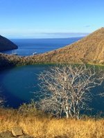 Galapagos